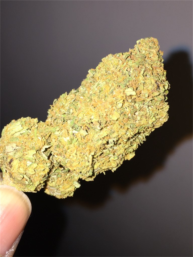 Jack Frost