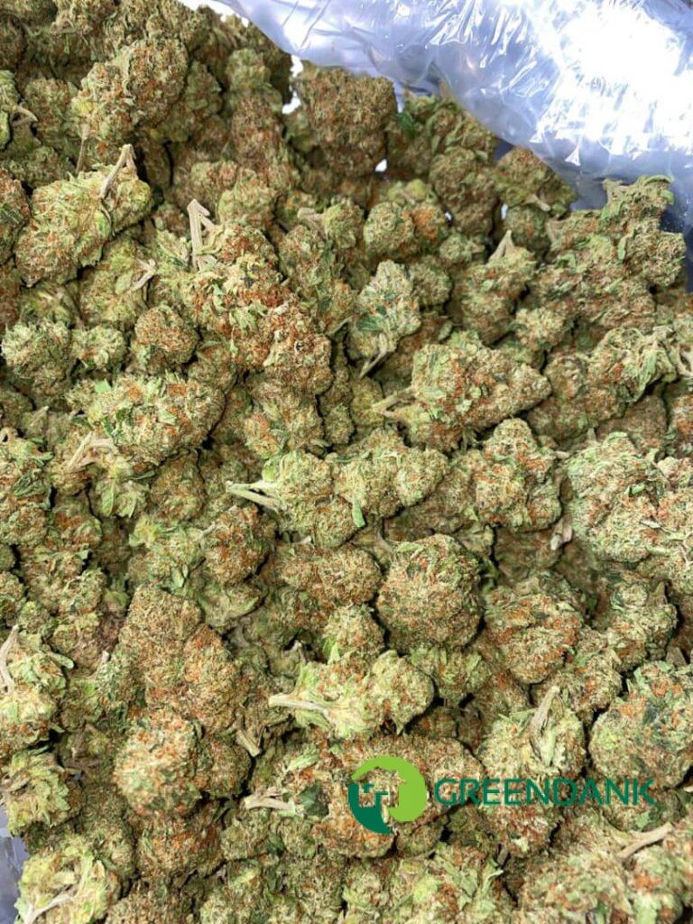 Buy BTY OG Strain Online | Green Dank Cannabis Store