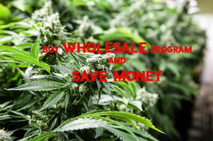 wholesale program