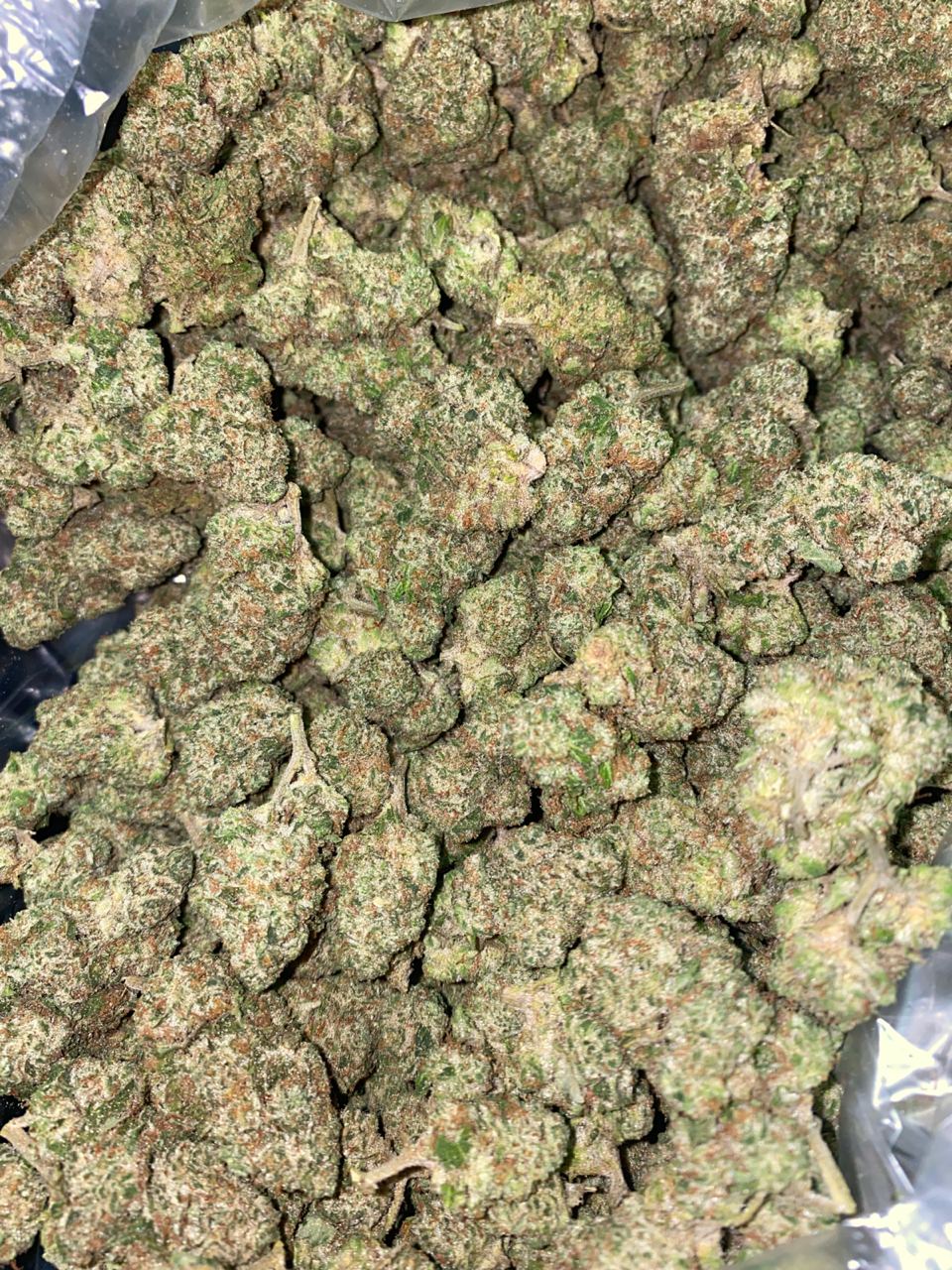 Buy Buy Hells Fire Online | Cannabis Store