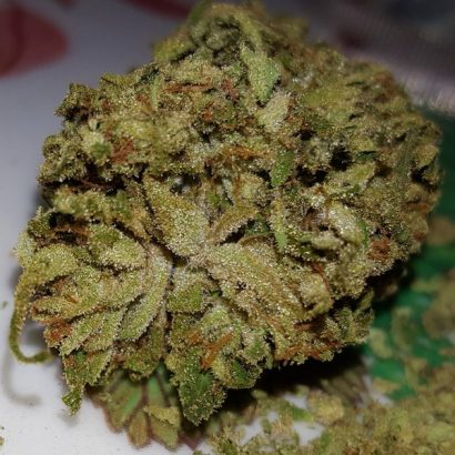 buy lemon thai strain